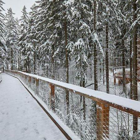 Ski Hotel Svoboda nad Úpou Exteriör bild