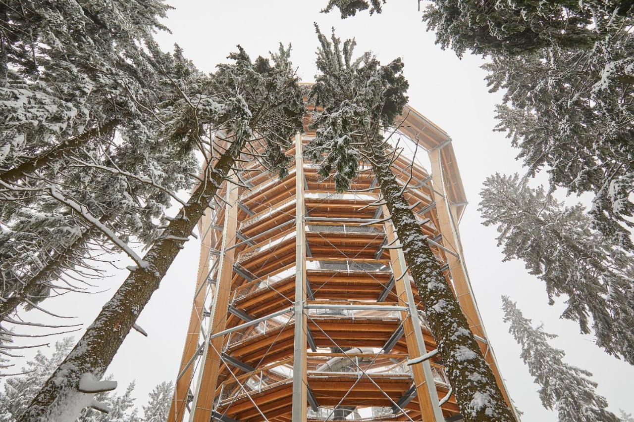 Ski Hotel Svoboda nad Úpou Exteriör bild