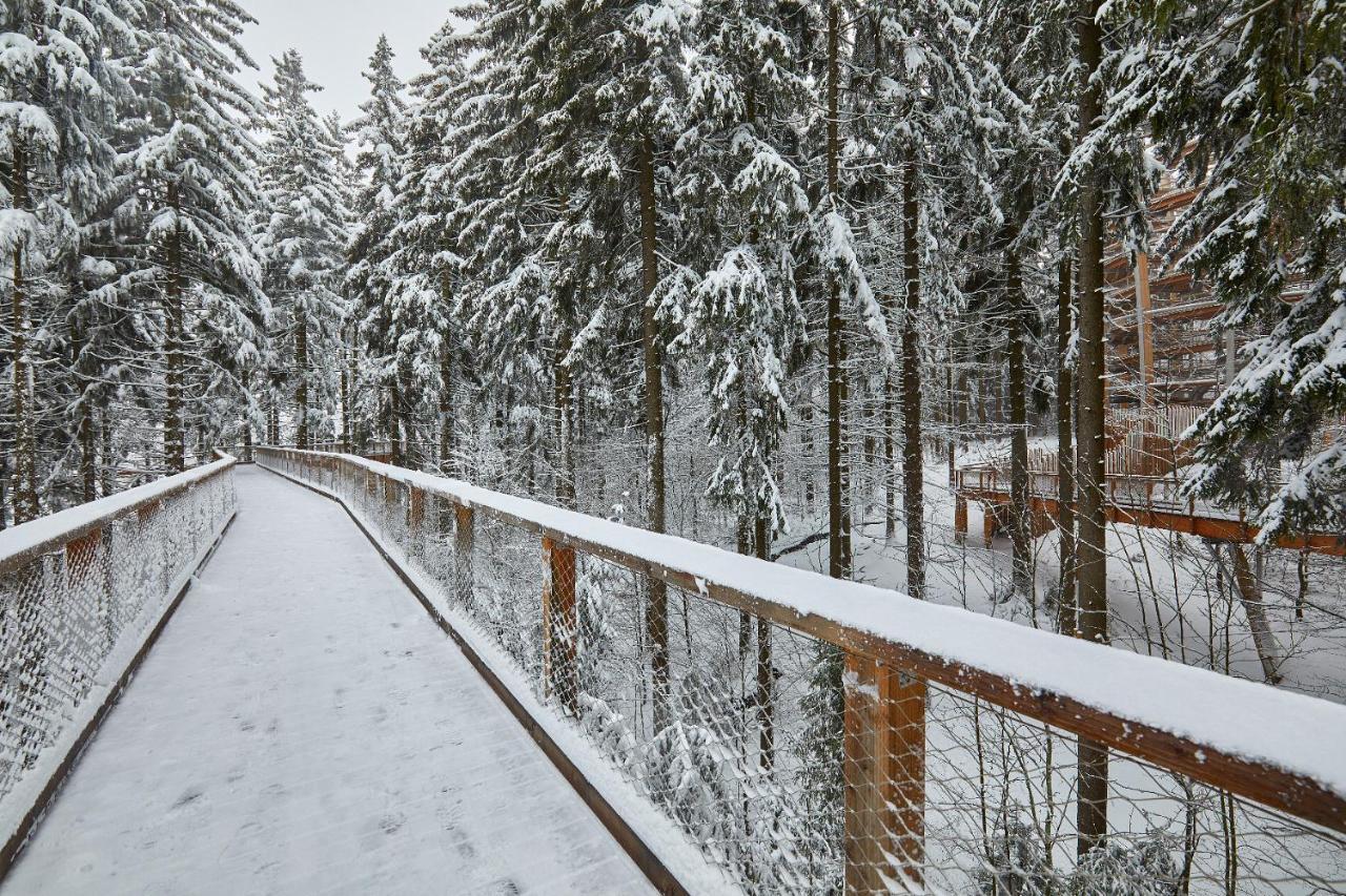 Ski Hotel Svoboda nad Úpou Exteriör bild